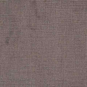 DASPE - 11 brown