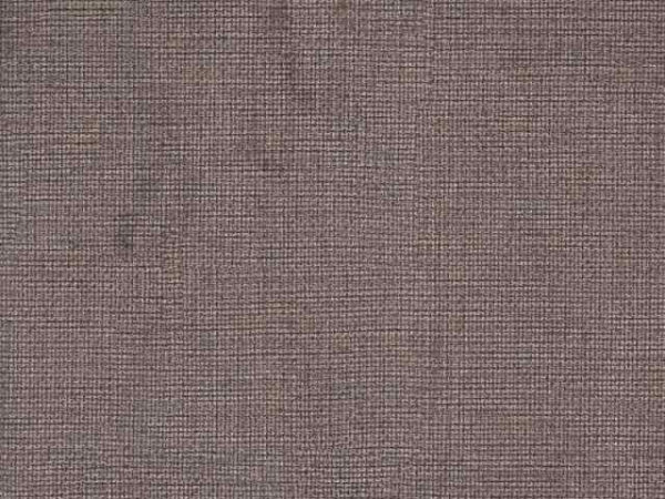 DASPE - 11 brown