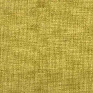 DASPE - 14 yellow
