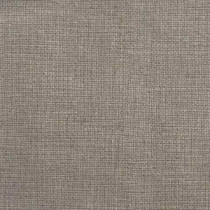 DASPE - 4 light grey