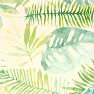 SOFT VELVET Monstera 01